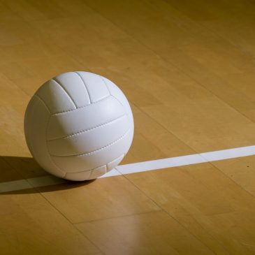 State volleyball: Stewartville topple Mahtomedi in Class 3A quarterfinal