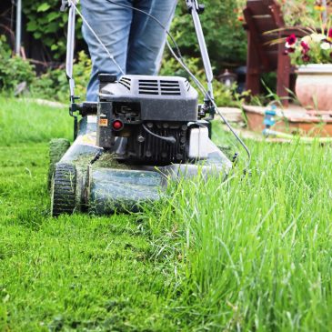 Mark Glende: Just a simple dream, my dream of a birthday mow