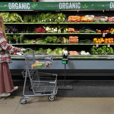 The timeline for SNAP benefits remains uncertain, even after Congress agrees to end the shutdown