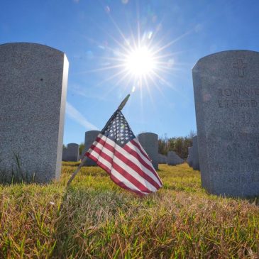 Veterans Day 2025: Twin Cities events, free meals and more