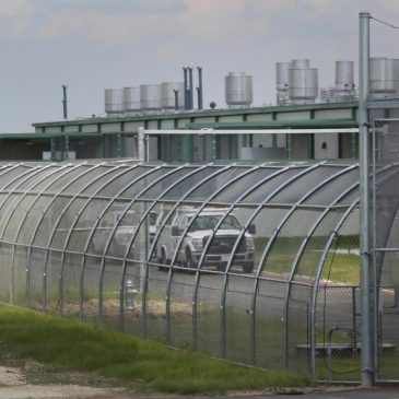 5 accused of supporting antifa plead guilty to terrorism-related offense after Texas shooting