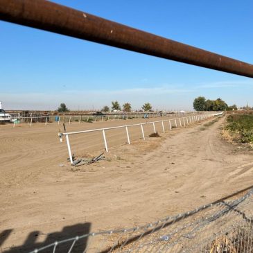 Federal judge orders release of 16 migrants detained in Idaho raid, citing due process violations