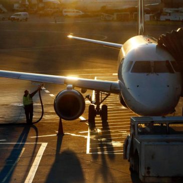 College freshman is deported flying home for Thanksgiving surprise, despite court order