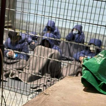 Palestinian deaths in Israeli custody have surged. A prison guard describes rampant abuse