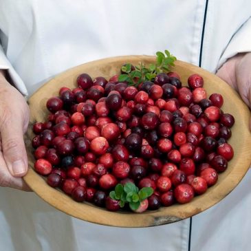 Recipes: Cranberries are much more than a Thanksgiving side dish