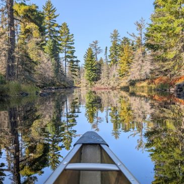 Bill would allow roads, vehicles in Boundary Waters for border enforcement