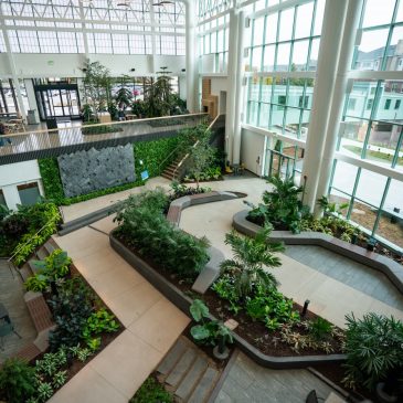 Woodbury Central Park opens with updated playground, garden and accessible features