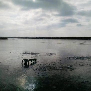 Ice safety is important any time, but especially right after freeze-up