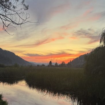 Driving home: A 3,500-mile road trip from Minnesota to Washington offers surprises – and similarities