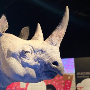 Science Museum of Minnesota exhibit focuses on skin