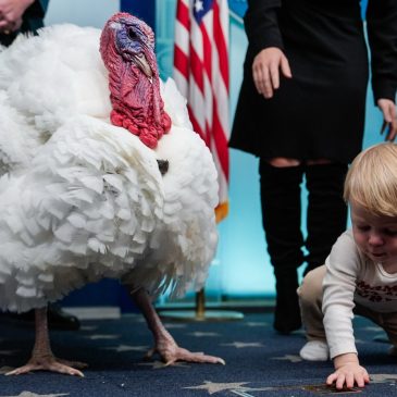 Thanksgiving and the new births of freedom