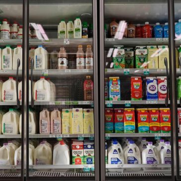 Trump administration faces a deadline to tell judges whether it will use contingency funds for SNAP