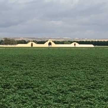 ‘Mija, Solamente Me Importa Clint’