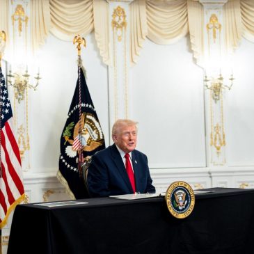 Trump Frees Fraudster Just Days Into 7-Year Prison Sentence