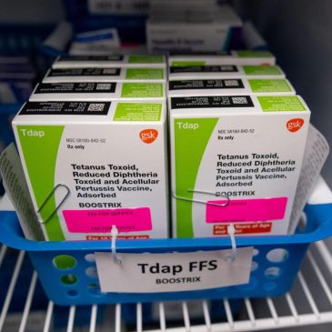 Waning immunity and falling vaccination rates fuel pertussis outbreaks