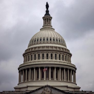 Nvidia gains, hospitals hurt: Congress winners and losers