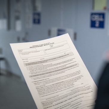 PODCAST: ¿Cómo estafan los notarios públicos a inmigrantes que necesitan asesoría legal?