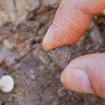 Study finds humans were making fire 400,000 years ago, far earlier than once thought