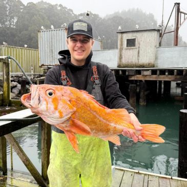 A California fisherman may have broken records by catching a 10.25-pound canary rockfish