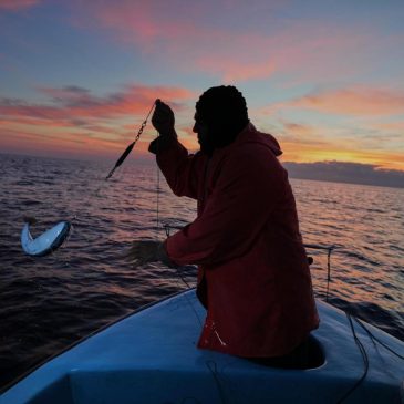 Cypriot fishermen battle invasive lionfish and turn them into a tavern delicacy