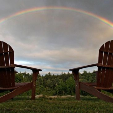 Creating a simple garden sanctuary for year-round relaxation