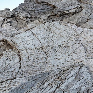 A photographer finds thousands of dinosaur footprints near Italian Winter Olympic venue