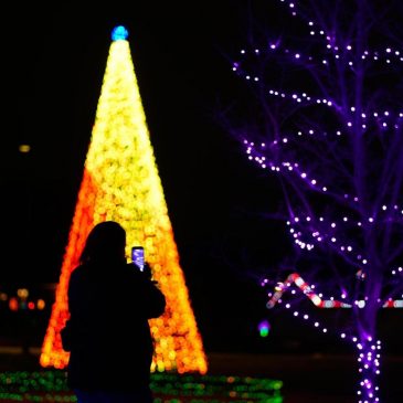 One Tech Tip: Spend quality time with loved ones, not a screen, over the holidays