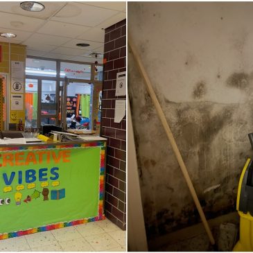 NYCHA Has Ignored Mold at This Brooklyn After-School Center for a Year, Staffers Say  