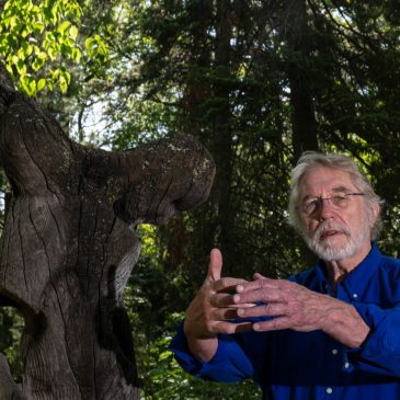 Readers and writers: A book to end the year, and a look back at a great year for readers