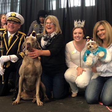Winter Carnival: Here’s how to nominate your dog for a royal role
