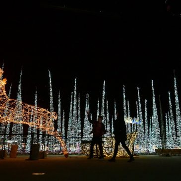 Letters: Overfed on materialism, starved for enchantment …