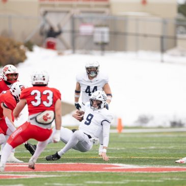 Division-III NCAA football quarterfinals: Overturned TD hurts Bethel in loss to North Central