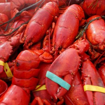 Oysters, crab and $400,000 worth of lobster meat stolen in New England