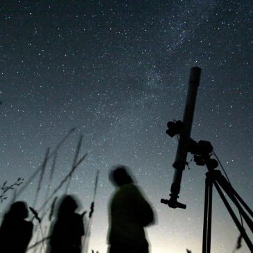 Catch the Ursid meteor shower as it peaks just before Christmas