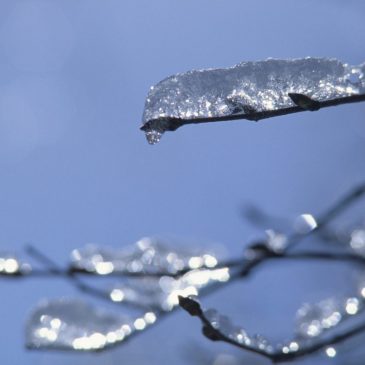 With temperatures dropping, Minneapolis shelter opens during day this weekend