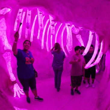 5 cool things you’ll see at Meow Wolf LA (like a fish-shaped spaceship)