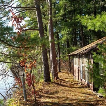 Plans call for Science Museum’s Pine Needles land to be put in conservation easement