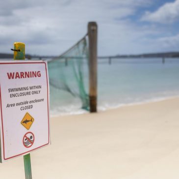 Man and boy critical after 3 shark attacks off Sydney in just over 24 hours