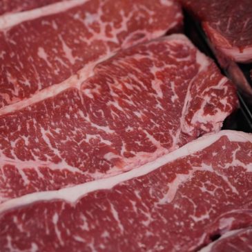 New diet guidelines say to double up on protein, but nutrition experts are wary