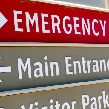 Toddler killed in dog attack, Otter Tail County sheriff reports