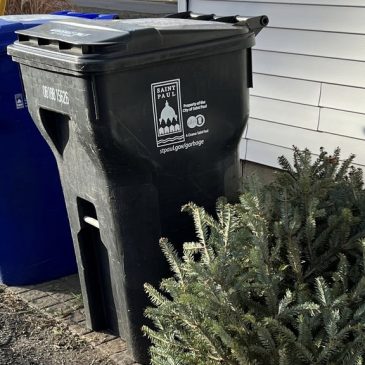 East metro options for holiday tree and decor disposal vary