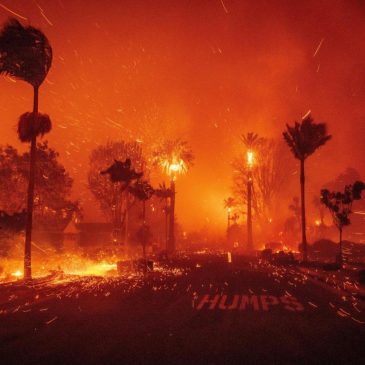 These numbers tell the story of the Los Angeles wildfires, one year later
