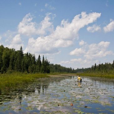House Republicans vote to lift 20-year ban on mining near pristine Boundary Waters Canoe Area