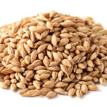 Recipes: These grain-based dishes are great for your diet and budget