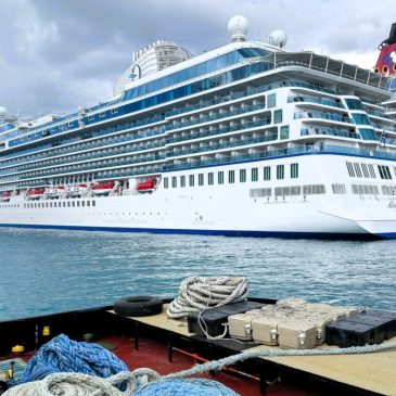 Travel: These new cruise ships will set sail in 2026