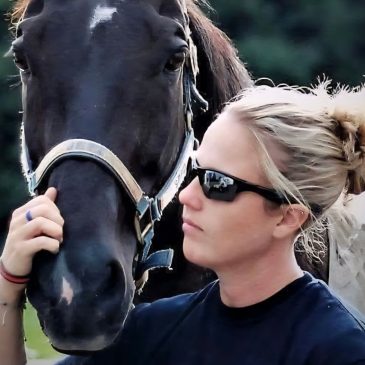Jett the former St. Paul police horse ‘fought hard’ but has died, owner says