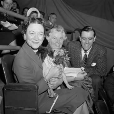The Westminster dog show is turning 150. Here’s what has — and hasn’t — changed over time