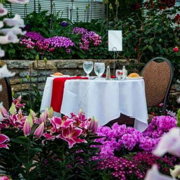 Reservations now open for Valentine’s Day dining at Marjorie McNeely Conservatory