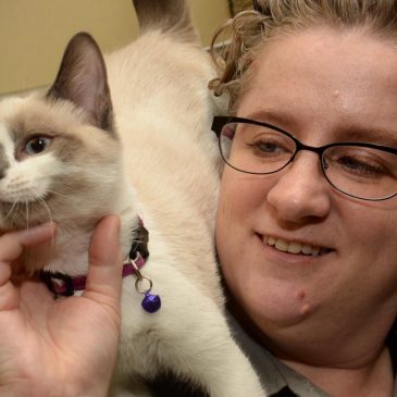 St. Paul Animal Control likely to become ‘Animal Services’