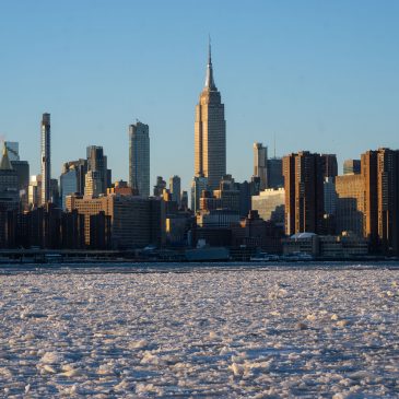 NYC Housing Calendar, Feb. 9-16